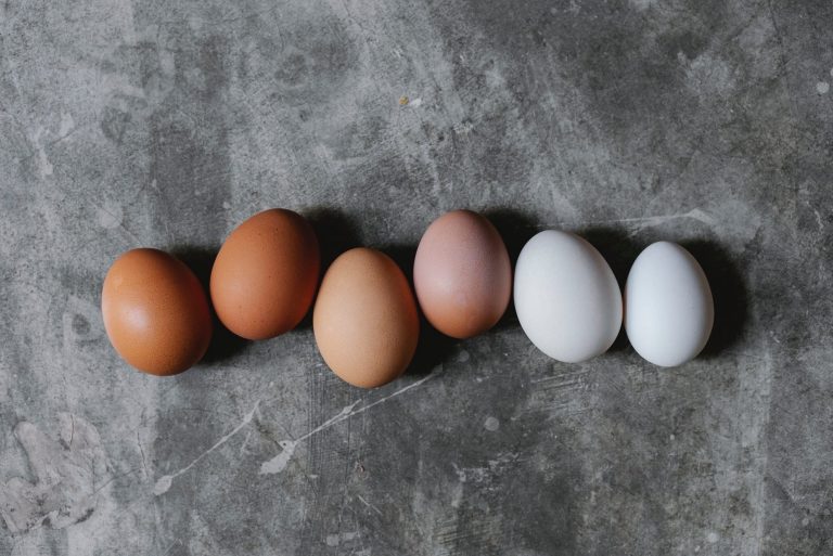 Six eggs in colors going from dark brown to white