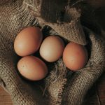 New Hampshire Chicken Chapter 3