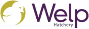 Welp-Hatchery-Logo