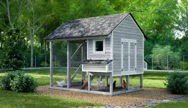 chicken coop
